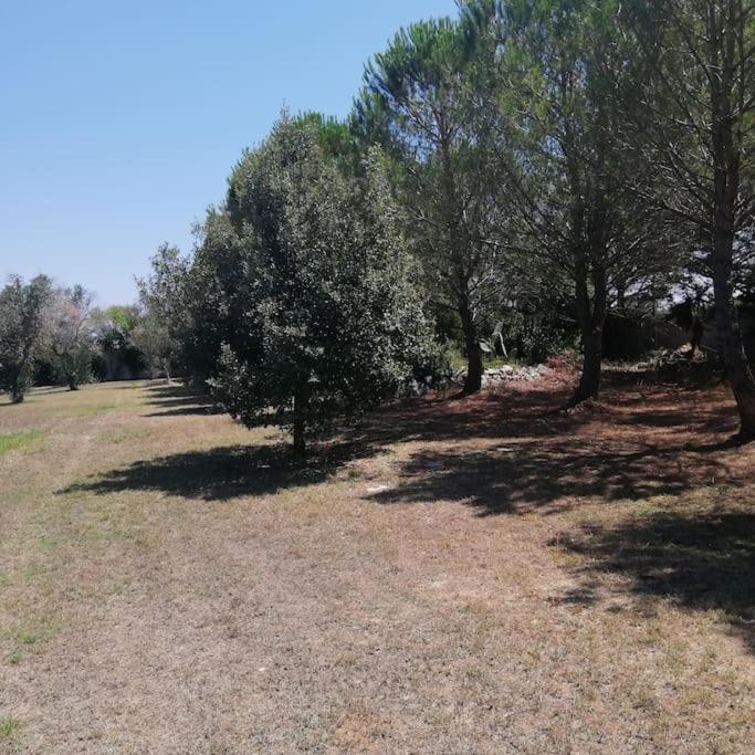 Villa Del Glicine 무로 레체세 외부 사진